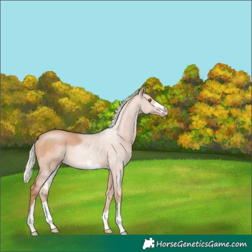 Horse Color:Silver Black Pearl 