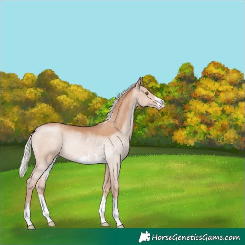 Horse Color:Silver Black Pearl Rabicano 