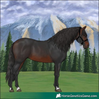 Horse Color:Brown 