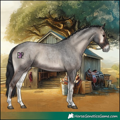 Horse Color:Blue Onyx Roan