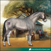 Horse Color:Blue Onyx Roan 