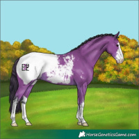 Horse Color:Platinum White Spotted Bay Snowcap 