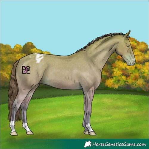 Horse Color:Platinum Amber Champagne Varnish
