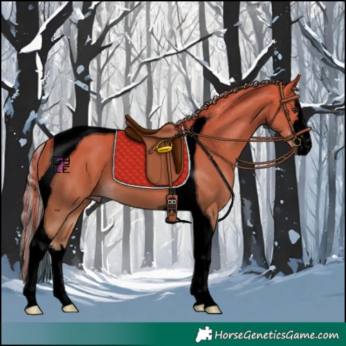 Horse Color:Void Painted White Spotted Chestnut Tobiano 