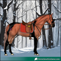 Horse Color:Void Painted White Spotted Chestnut Tobiano