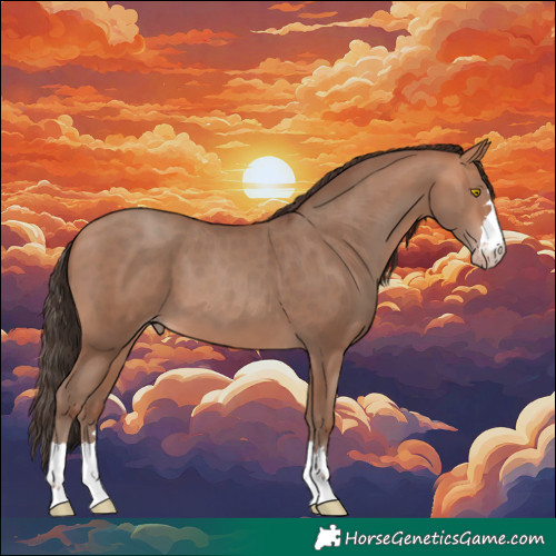 Horse Color:Amber Champagne 