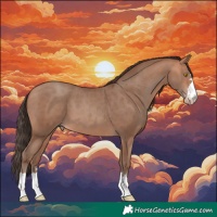 Horse Color:Amber Champagne 