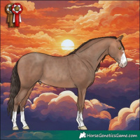 Horse Color:Amber Champagne 