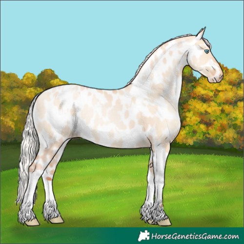 Horse Color:Silver Amber Champagne Pearl Dun Tobiano Appaloosa Rabicano and Silver Amber Champagne Pearl Dun Tobiano Appaloosa Rabicano