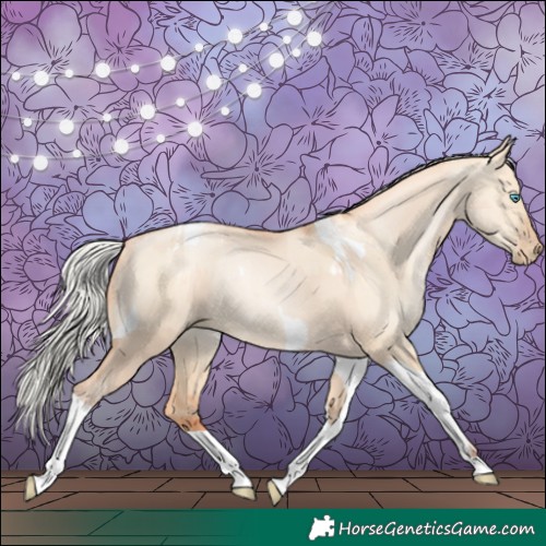 Horse Color:Silver Amber Champagne Pearl Dun Tobiano Rabicano  and Silver Amber Champagne Pearl Dun Tobiano Rabicano 