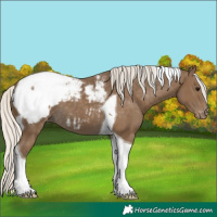 Horse Color:Silver Smoky Black Tobiano Snowcap 