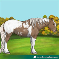 Horse Color:Silver Smoky Black Tobiano Snowcap 