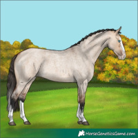 Horse Color:Bay Roan Dun Splash 