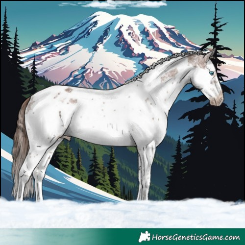Horse Color:Liver Chestnut Splash Tobiano Frame Rabicano 
