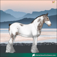 Horse Color:Liver Chestnut Sabino Tobiano Frame 