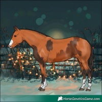 Horse Color:Bay and Bay