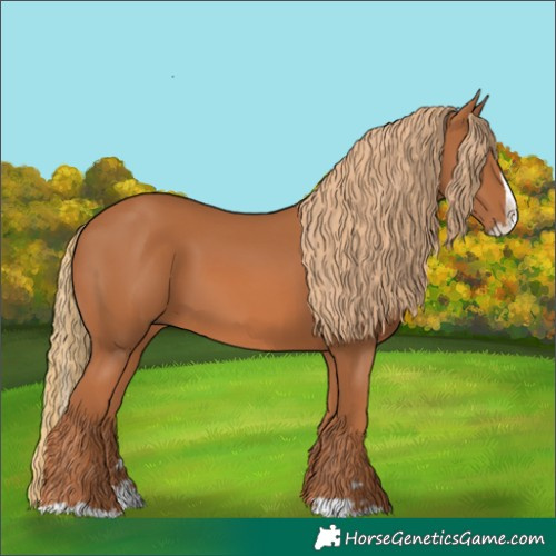 Horse Color:Chestnut Splash 