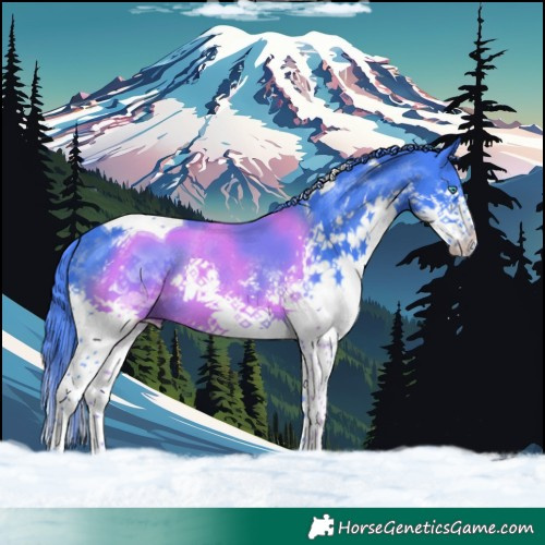 Horse Color:Watercolor Black Splash Tobiano