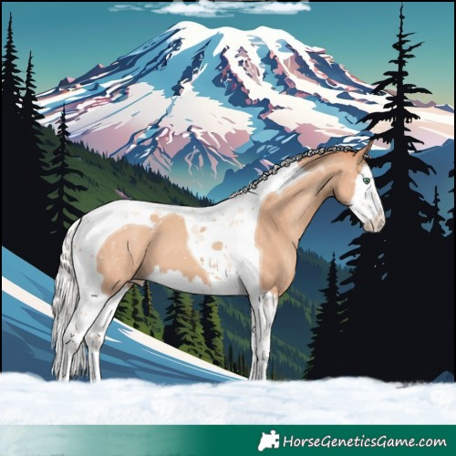 Horse Color:Silver Classic Champagne Splash Tobiano 