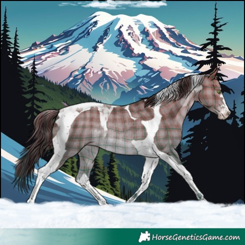 Horse Color:Plaid  Sable Champagne Tobiano Rabicano 