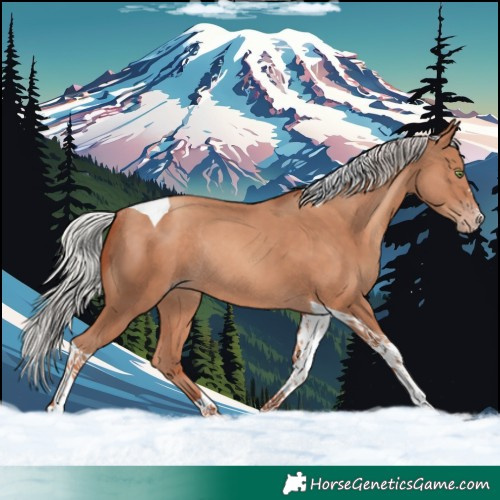 Horse Color:Silver Sable Champagne Tobiano Rabicano 
