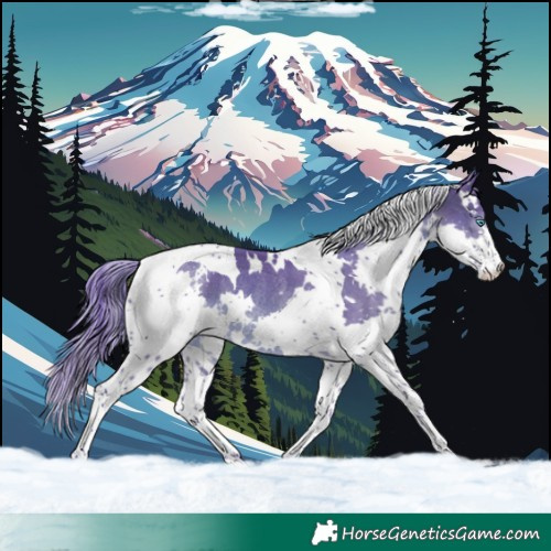 Horse Color:Watercolor White Spotted Sable Champagne Splash Tobiano Rabicano 