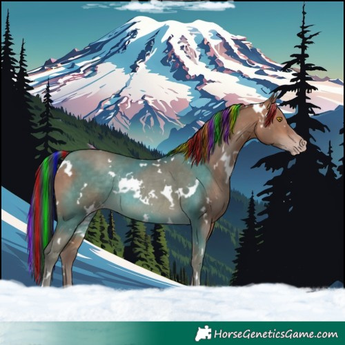 Horse Color:Painted White Spotted Sable Champagne Rabicano 