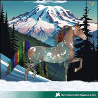 Horse Color:Painted White Spotted Sable Champagne Rabicano