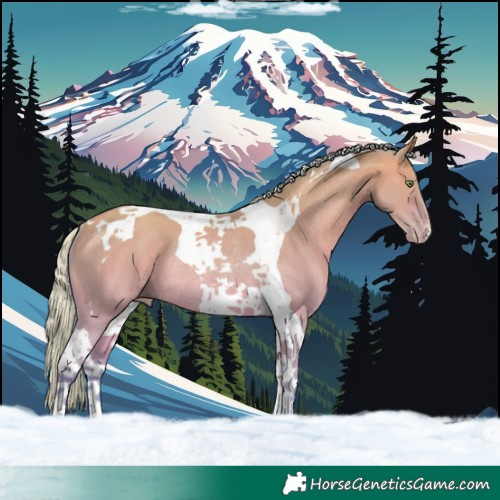 Horse Color:Watercolor Silver Sable Champagne Dun Tobiano Rabicano 