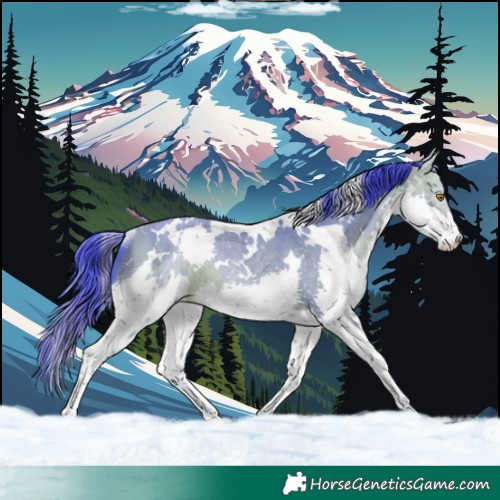 Horse Color:Watercolor White Spotted Sable Champagne Splash Rabicano 