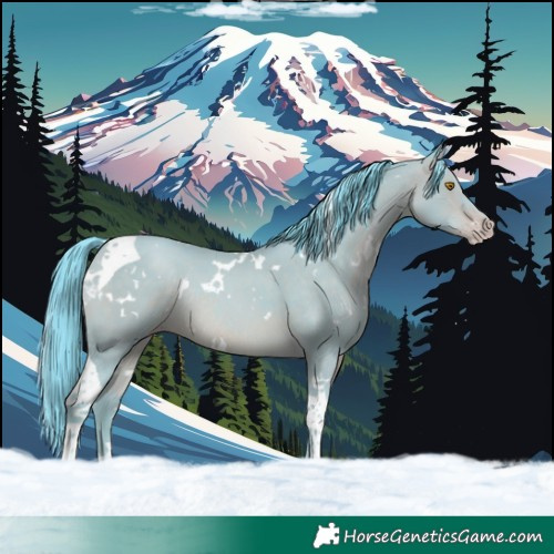 Horse Color:Watercolor White Spotted Sable Champagne Tobiano Rabicano 