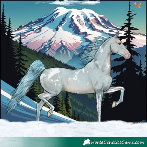 Horse Color:Watercolor White Spotted Sable Champagne Tobiano Rabicano 
