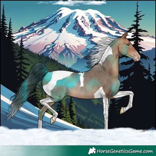 Horse Color:Amber Champagne Tobiano Rabicano