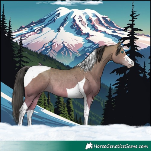 Horse Color:Sable Champagne Tobiano Rabicano