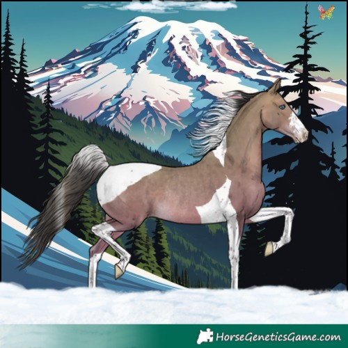 Horse Color:Sable Champagne Tobiano Rabicano
