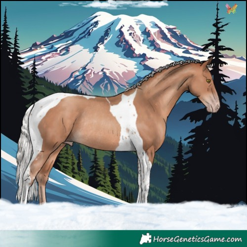 Horse Color:Silver Sable Champagne Tobiano Rabicano 