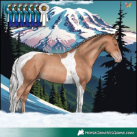 Horse Color:Silver Sable Champagne Tobiano Rabicano