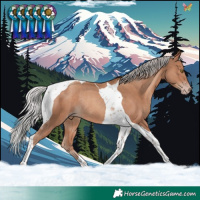 Horse Color:Silver Sable Champagne Tobiano Rabicano 