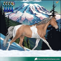 Horse Color:Silver Sable Champagne Tobiano Rabicano