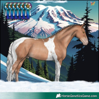Horse Color:Silver Sable Champagne Tobiano Rabicano