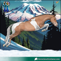 Horse Color:Silver Sable Champagne Tobiano Rabicano 