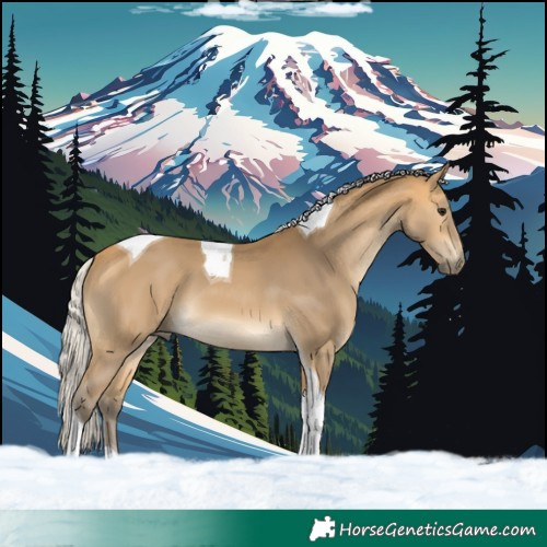Horse Color:Silver Buckskin Tobiano 