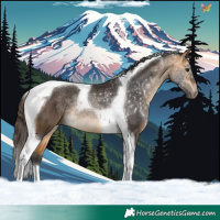 Horse Color:Buckskin Tobiano 