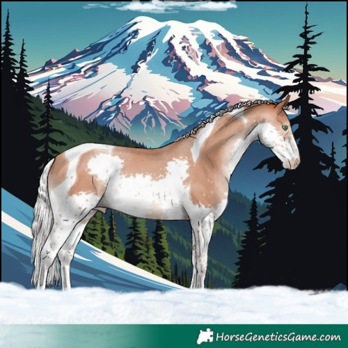 Horse Color:Silver Sable Champagne Splash Tobiano 