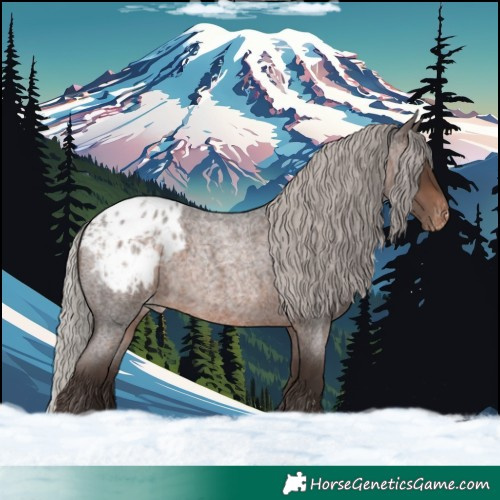 Horse Color:Silver Brown Roan Appaloosa 