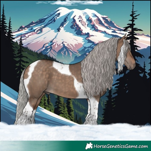 Horse Color:Silver Brown Dun Tobiano 