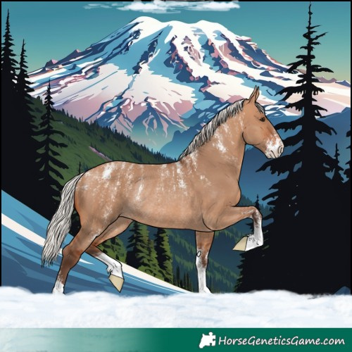 Horse Color:Powder White Silver Bay Dun Rabicano 