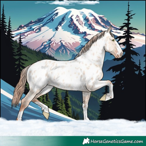 Horse Color:White Spotted Gold Champagne Dun Appaloosa Rabicano 