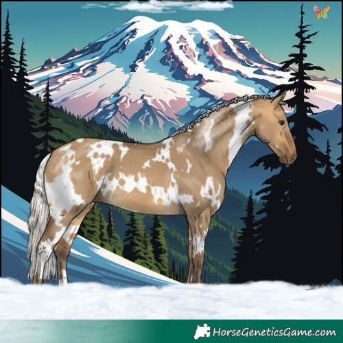 Horse Color:White Spotted Silver Buckskin Dun 