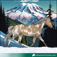 Horse Color:White Spotted Silver Buckskin Dun